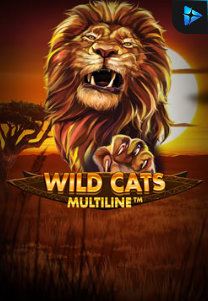 Bocoran RTP Slot Wild Cat Multiline di SANGATHOKI