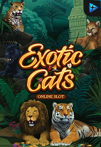 Bocoran RTP Slot exoticcats di SANGATHOKI