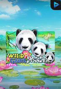 Bocoran RTP Slot Wild-Giant-Panda di SANGATHOKI